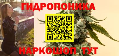 apvp Заводоуковск